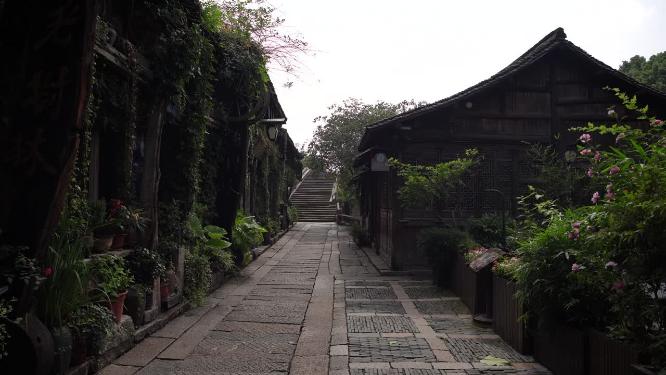浙江嘉兴乌镇西栅酒吧一条街风景视频