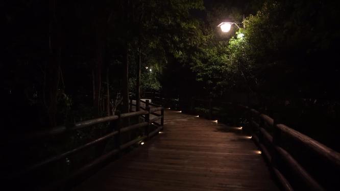 浙江嘉兴乌镇西栅夜景风景视频