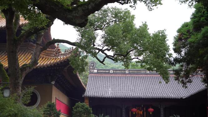 浙江普陀山普济寺禅院建筑实拍视频