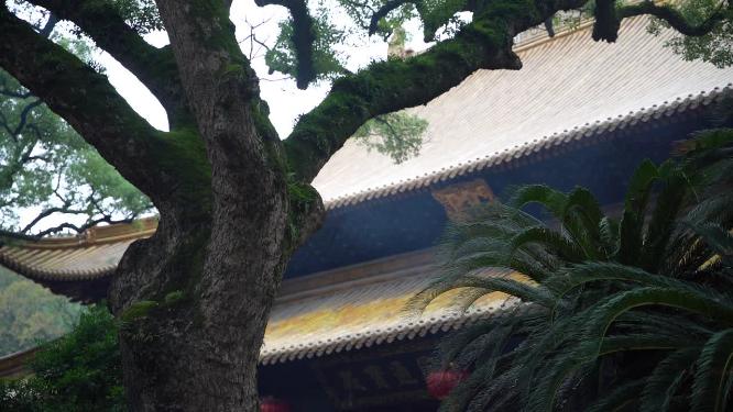 浙江普陀山普济寺禅院建筑实拍视频