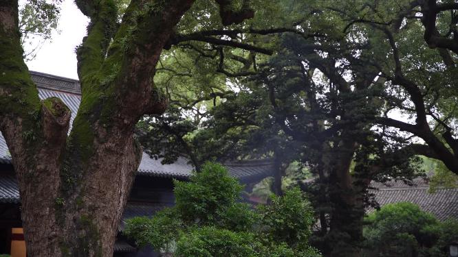 浙江普陀山普济寺禅院建筑实拍视频