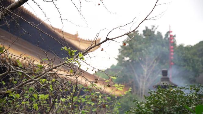 浙江普陀山普济寺禅院建筑实拍视频