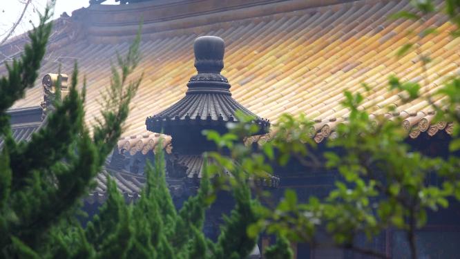 浙江普陀山普济寺禅院建筑实拍视频