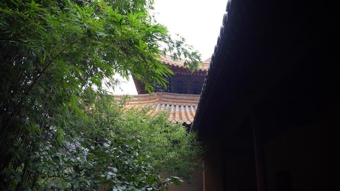浙江普陀山普济寺禅院建筑实拍视频
