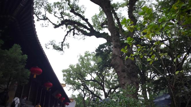 浙江普陀山普济寺禅院建筑实拍视频