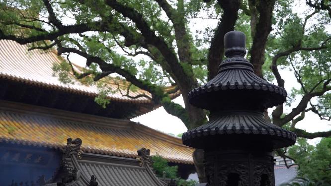 浙江普陀山普济寺禅院建筑实拍视频
