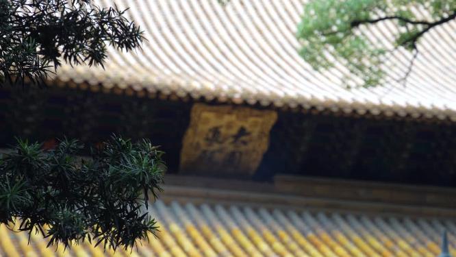 浙江普陀山普济寺禅院建筑实拍视频