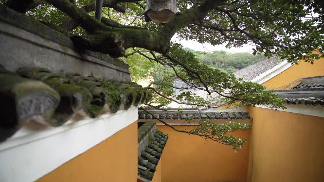 浙江普陀山慧济禅寺禅院实拍视频