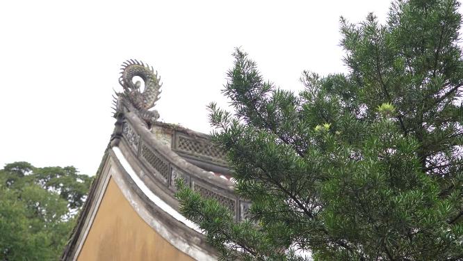 浙江普陀山慧济禅寺禅院实拍视频