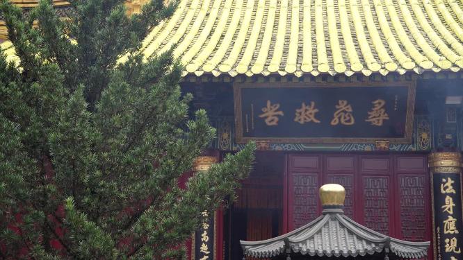 浙江普陀山慧济禅寺禅院实拍视频