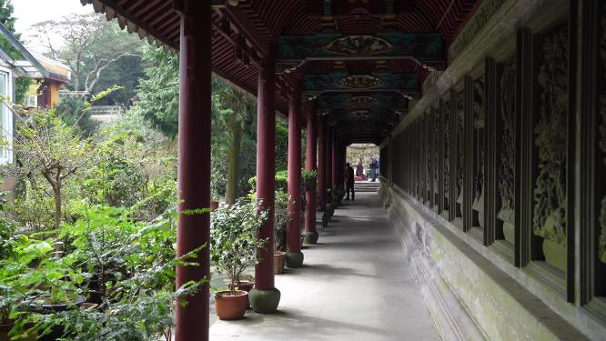 浙江普陀山慧济禅寺禅院实拍视频