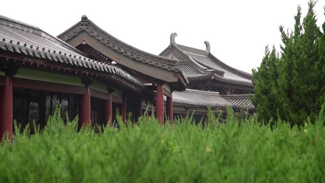 浙江普陀山不肯去观音院禅院建筑视频