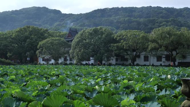 浙江普陀山普济寺禅院建筑实拍视频