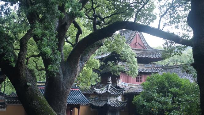 浙江普陀山普济寺禅院建筑实拍视频