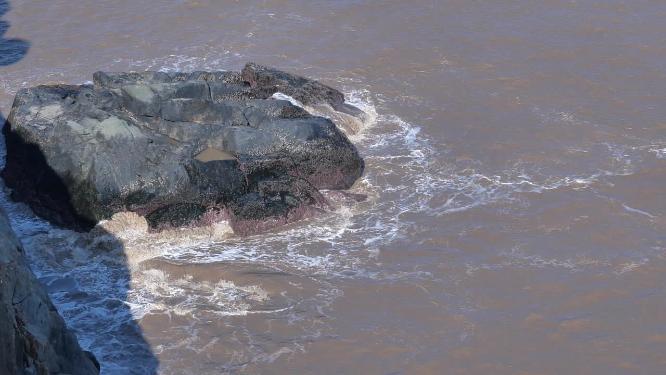 浙江普陀山海浪拍打礁石实拍视频