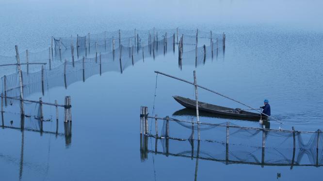绍兴水乡江南水乡东鉴湖风景