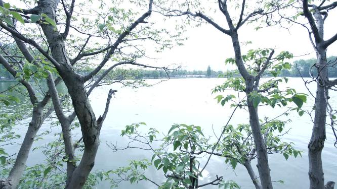 绍兴水乡江南水乡实拍视频