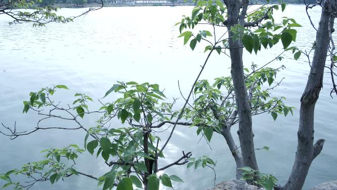 绍兴水乡江南水乡实拍视频