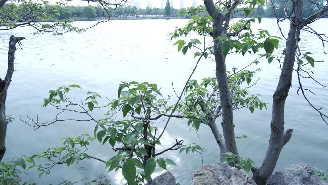 绍兴水乡江南水乡实拍视频