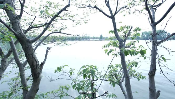 绍兴水乡江南水乡实拍视频
