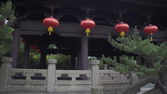 浙江绍兴沈园中式园林实拍视频