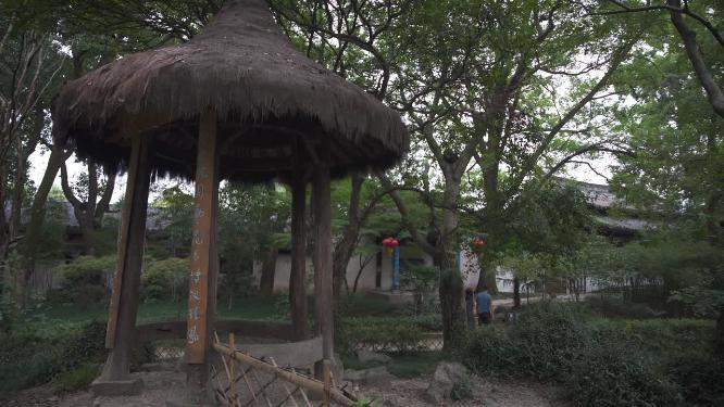浙江绍兴沈园中式园林实拍视频