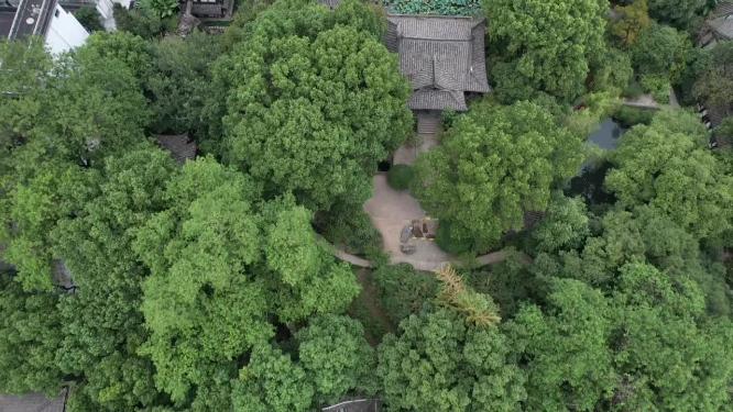 浙江绍兴沈园中式园林航拍视频
