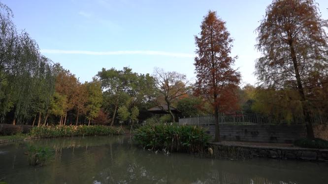 杭州城西休闲公园景区实拍视频