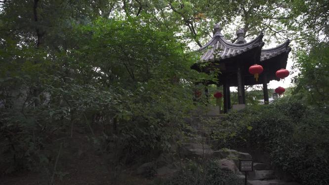 浙江绍兴沈园中式园林实拍视频