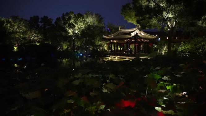 浙江绍兴沈园中式园林夜景实拍视频