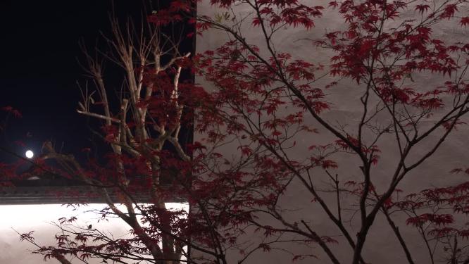 绍兴柯桥古镇景区夜景实拍视频