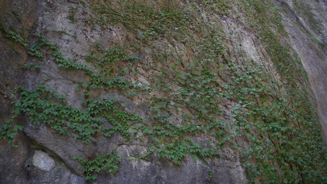 浙江绍兴柯岩景区蚕花洞景点视频