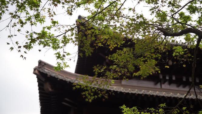 杭州拱墅区香积寺禅院实拍视频