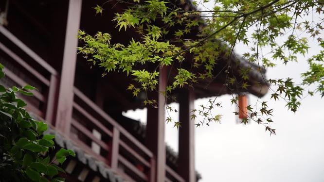 杭州拱墅区香积寺禅院实拍视频