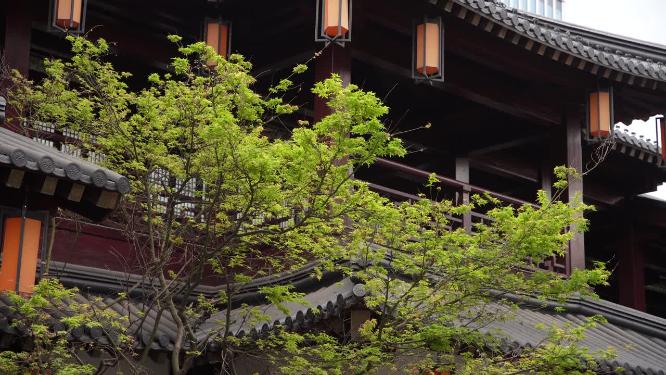杭州拱墅区香积寺禅院实拍视频