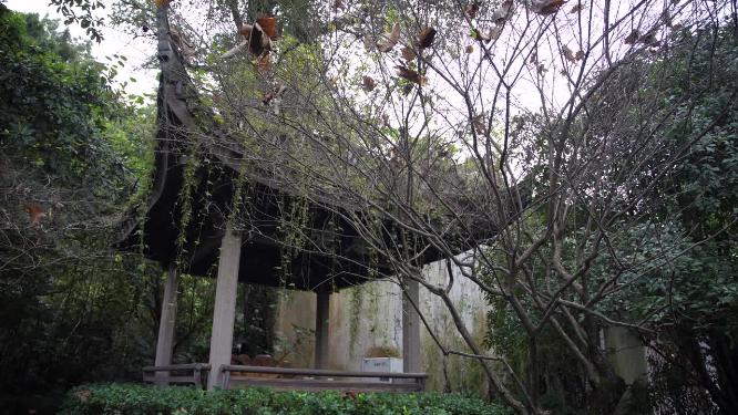 杭州三台山于谦墓视频素材
