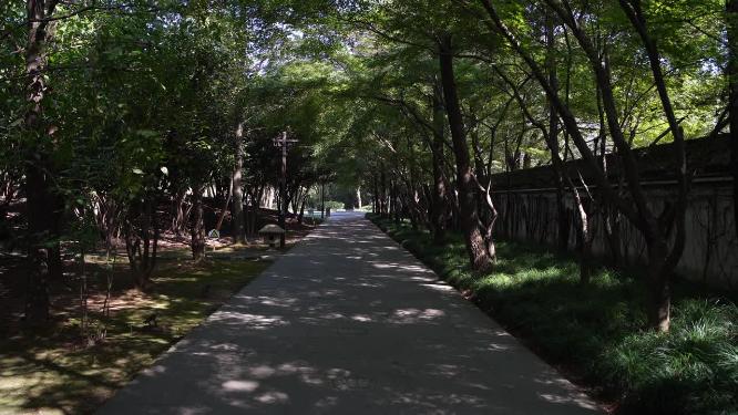 浙江绍兴柯岩景区天工大佛景点视频
