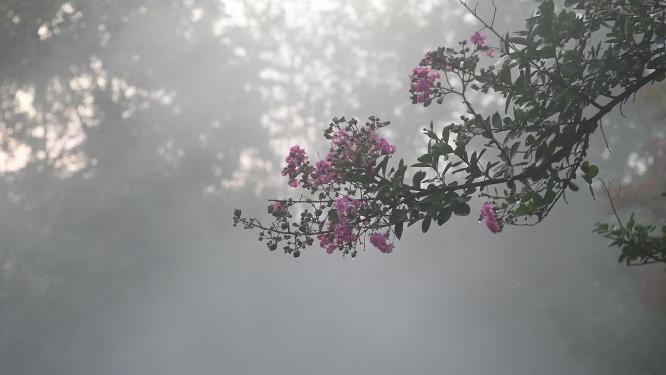 无锡灵山拈花湾禅意小镇视频素材