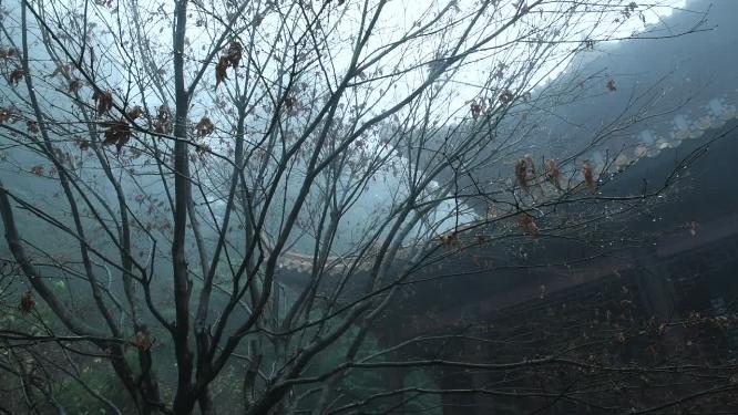 浙江天台山华顶寺雾景4视频素材