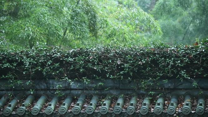 浙江天台山国清寺禅院实拍视频