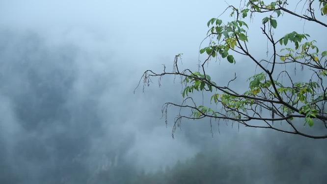 仙气十足浙江天台山视频素材