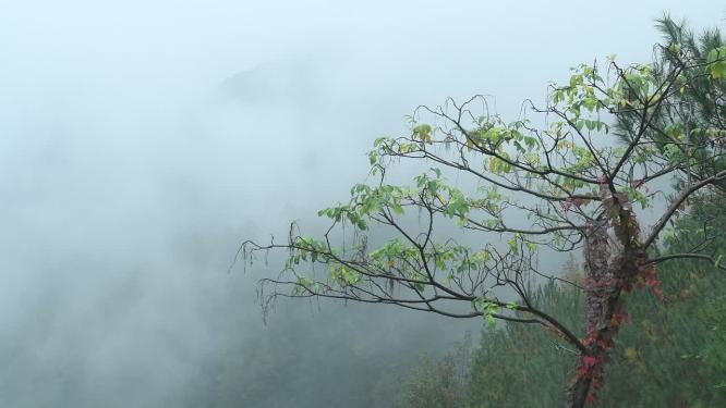 仙气十足浙江天台山视频素材