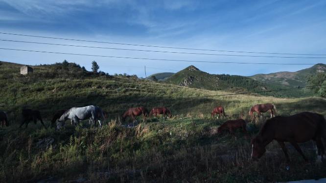 山西五台山竹林寺视频素材