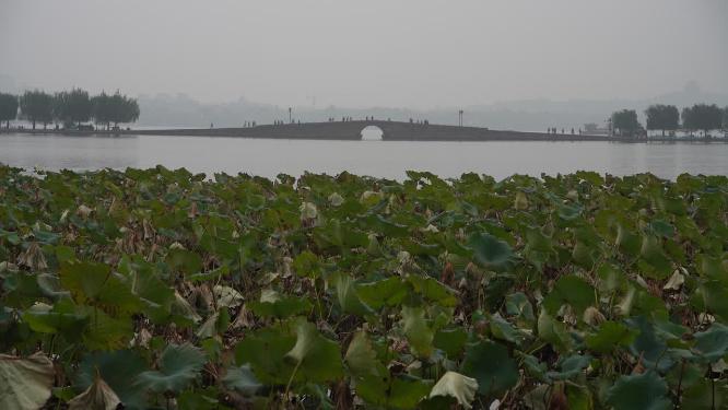 杭州西湖雾天风景实拍视频