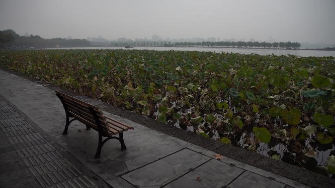 杭州西湖雾天风景实拍视频