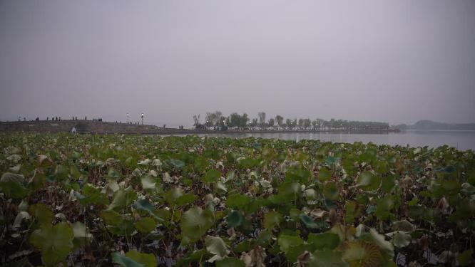 杭州西湖雾天风景实拍视频