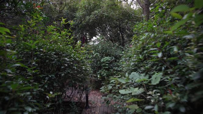 杭州西湖宝石山宝云寺视频素材
