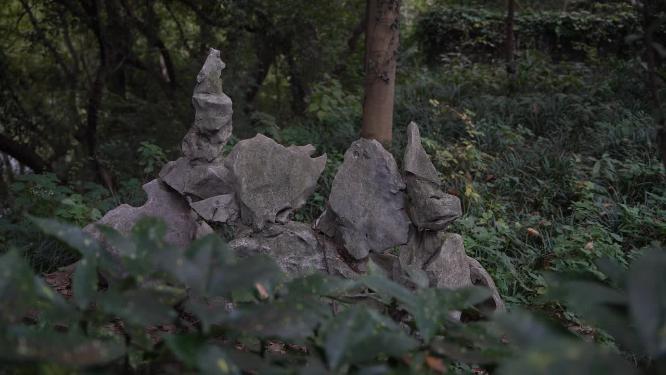 杭州西湖宝石山宝云寺视频素材