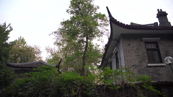 杭州西湖宝石山隐庐视频素材