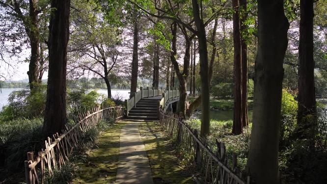 杭州西湖三堤之一杨公堤风景视频素材